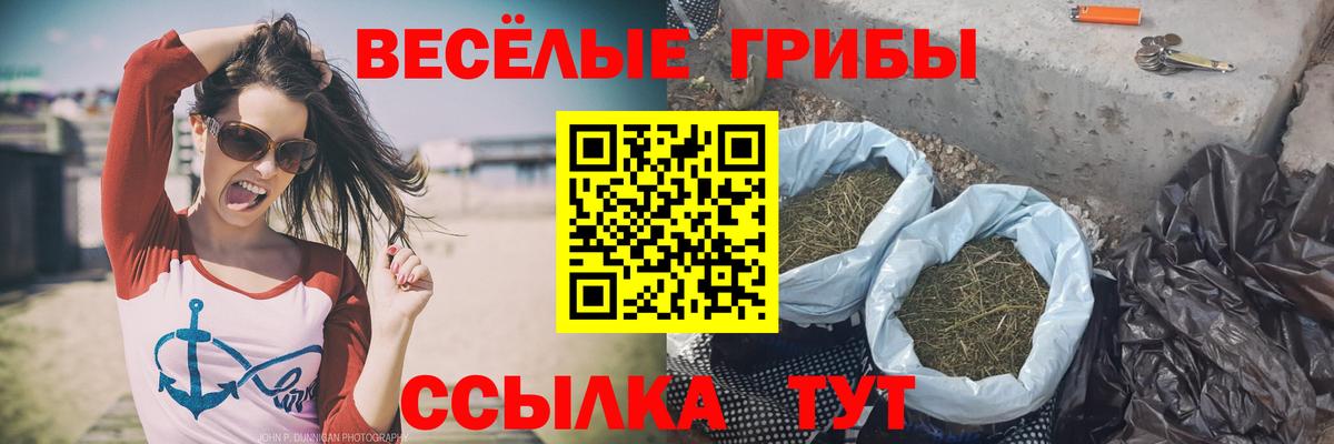 Кашира  Галлюциногенные грибы GOLDEN TEACHER  цена наркотик  Вход с VPN 
